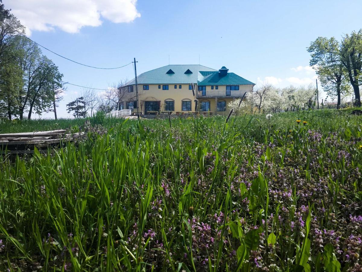Fata Verde Soldanesti Eksteriør billede