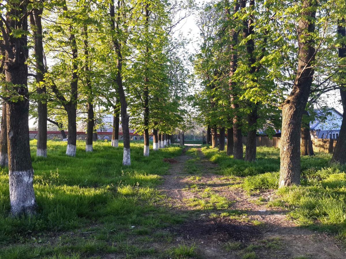 Fata Verde Soldanesti Eksteriør billede